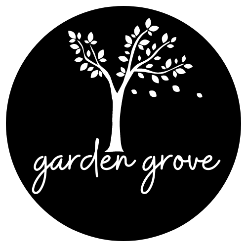 244773226_4312876925505716_8448824648391564918_n